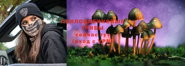 мескалин Аркадак
