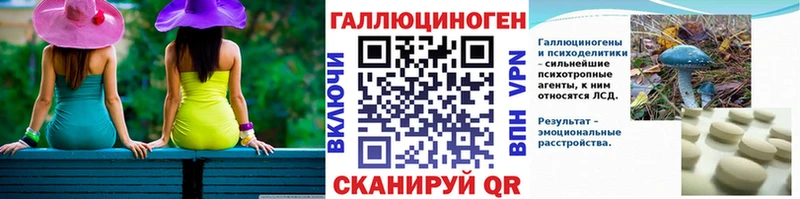 omg вход  Колпашево  Псилоцибиновые грибы Psilocybe 